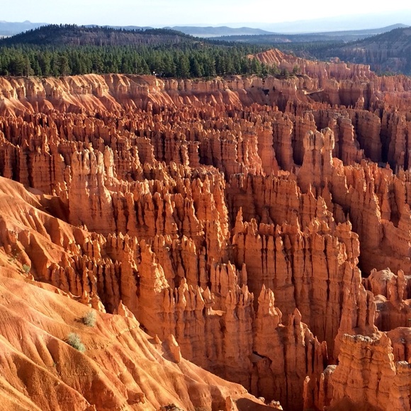 Meet your Posher, Kirk - Picture 2 of 5